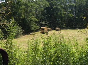 Baling hay in fields right next to TMI / AHSP